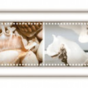 Gạch trang trí 09x60 Prime Evolution 05.090600.08945